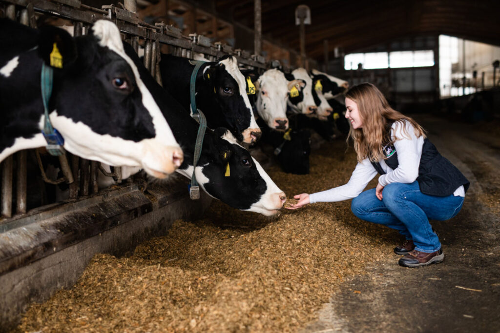 A smiling young woman reaches out to greet a cow in a barn